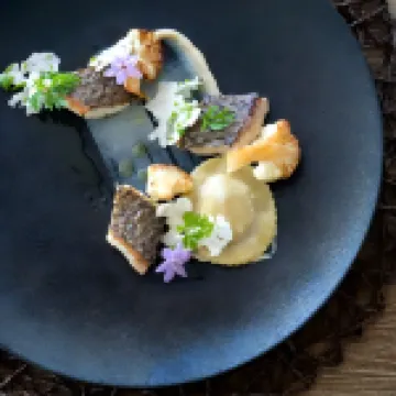 Langani Safari Hotels in 