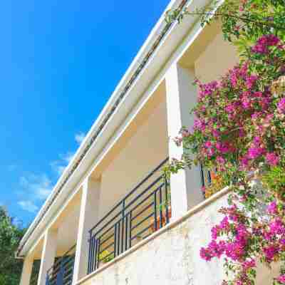 Villa Natasha Hotel Exterior