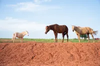 Peaceful Luxurious Ranch Family Reunion Отели в г. Поттаватоми