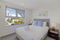 Verve on Cotton Tree