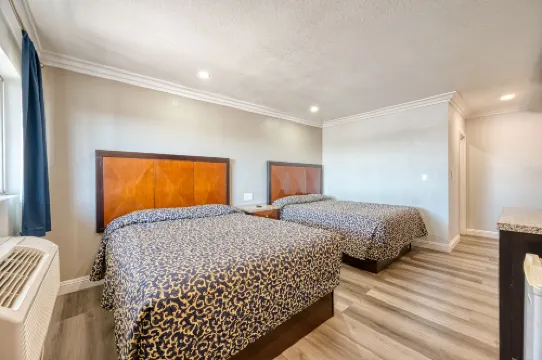 ERTHイン・バイ・AGA - モハーヴェ