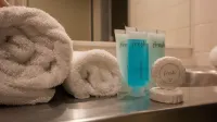 Ridge Apartment Hotel