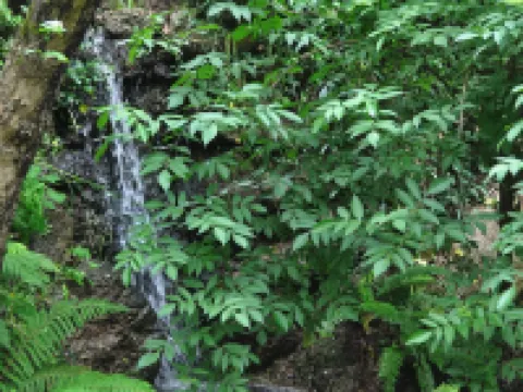 ルーム-パラダイス イズ リアル アット ヴァレ マルティーニョ S ヴィミエイロのホテル