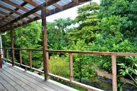 Treetop Jungle Like Escape in San Ignacio Your Belize Oasis Awaits
