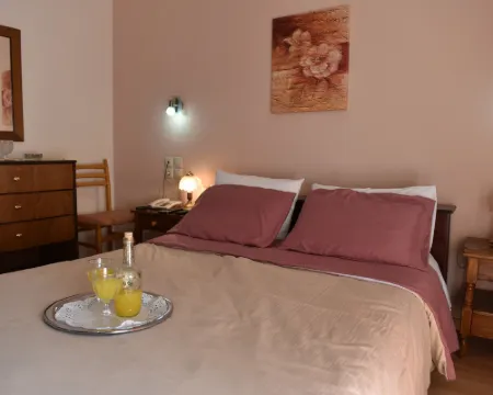 40 Platania Hotel Hotels in Istiaia-Aidipsos