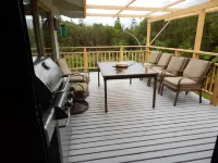 Fern Forest Getaway
