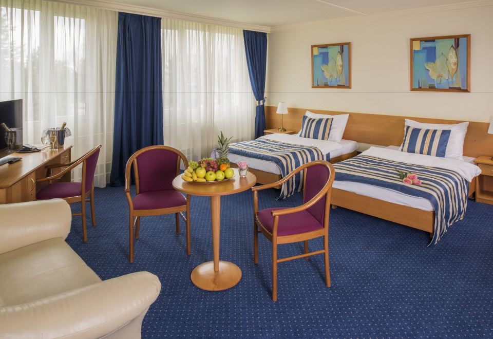 Top Hotel PrahaOver view