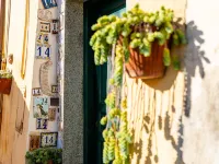 In te l'Aia