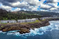 Whale Watching and Cozy Fireplace Oasis - Stunning Oceanfront Retreat