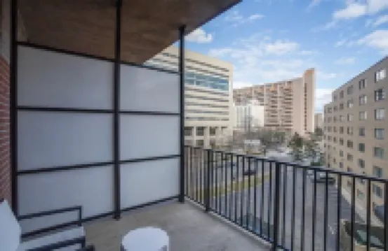 Breathtaking Views and Bocci Ball Court - Charming Urban Retreat