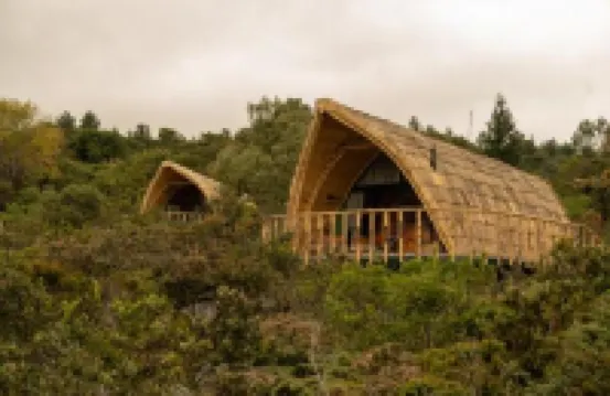 Casa Selvaggio Hotels in 