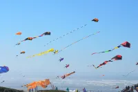 Dog-friendly cottage w/ beach access & ocean view from living room Hotel a Moclips