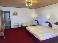 Gästehaus Vis-A-Vis Hotels in Geisenheim