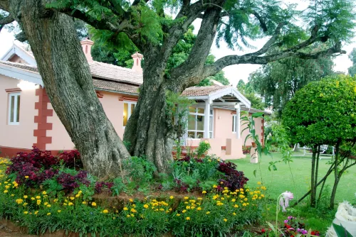 Bella Vista Homestay - parking