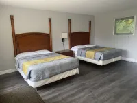 Studio 1 Motel - Wifi
