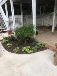 Great 5 Points House in the Heart of Athens.  Sleeps 14!