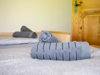 Cozy Apartment in Mühlbach with Garden Near Ski Slopes - Homestays