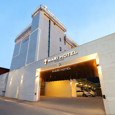 Mari Hotel Chungju Hotels near Gyemyeongsan