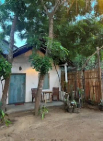 Cactus Arugambay Hotels in 