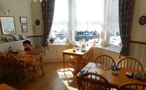 The Gynway - Pet friendly