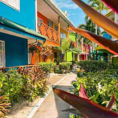Hotel Cocoplum Beach Hotel Exterior