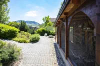 Amenity Penzion Horni Vestonice Hotels in Mikulov