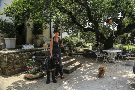 The Green Acorn Guest House