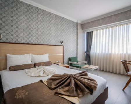 HALLEY ホテル デニズリのホテル