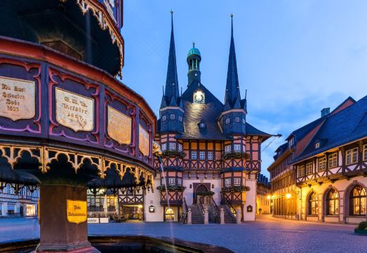 레지오호텔 쉔첸하우스 베르니게로데