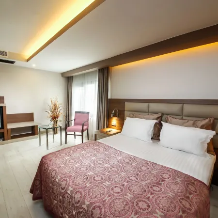 Elit Asya Hotel