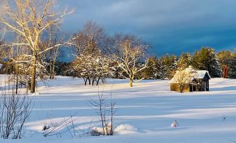 Gedney Farm
