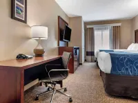 Comfort Suites Pell City Near Logan Martin Lake Hotels in St. Clair County