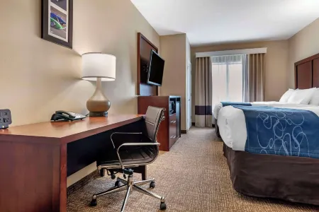 Comfort Suites Pell City I-20 Exit 158 Отели в г. Сент-Клэр