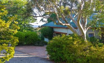 Chatelaine Valley Views