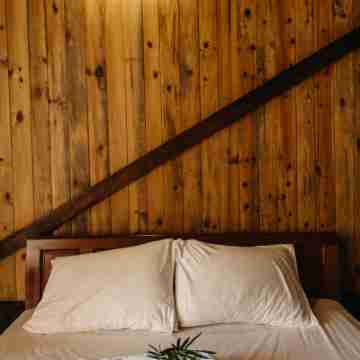 Thuy Bieu Homestay Rooms