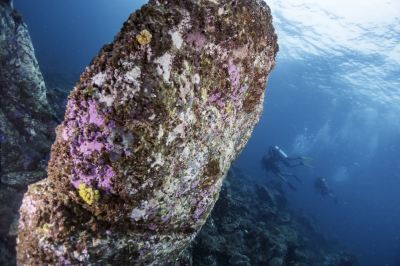 ホテル周辺 フォーラ ダイビング リゾート パタヤ ビーチの写真