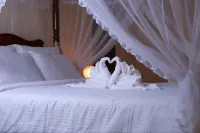Villa Ana