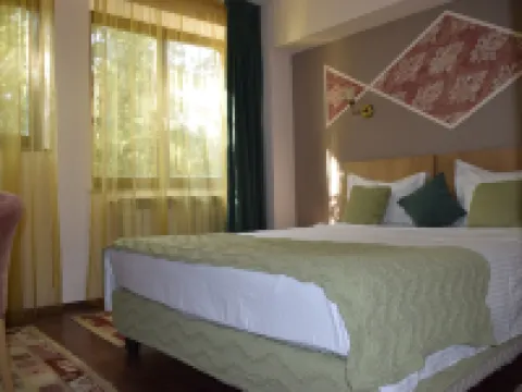 ホテル ミケランジェロ ブカレストのホテル