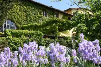 Locanda Casanuova Hotels in Figline e Incisa Valdarno