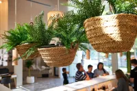 Protur Floriana Resort - bar