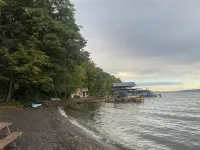 Spotted Sandpiper - Cabin #3