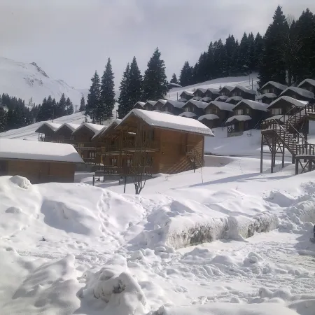Hamsiköy Zitaş Bungalov & Restoran