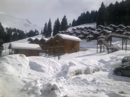 Hamsiköy Zitaş Bungalov & Restoran