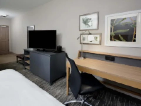 西阿什維爾比爾特莫附近麗笙鄉村套房酒店 阿什維爾酒店