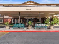 拉斯維加斯埃利斯島酒店 鄰近百樂宮噴泉的酒店