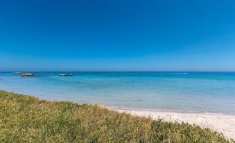 2941 Palma Residence- Appartamento Boreas by Barbarhouse