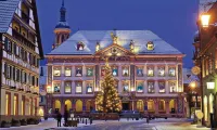 Holiday Inn Express Offenburg Hotels near Lidl