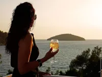 Boutique Hotel Villa Telenta Hotels in Opcina Vela Luka