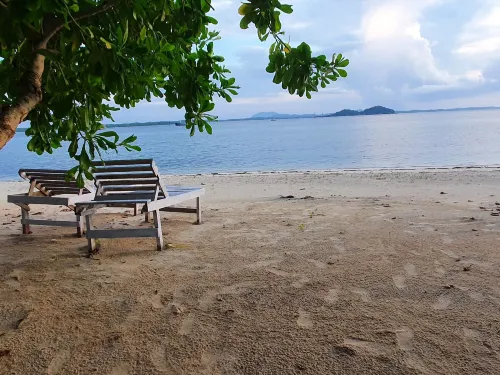 Berakit Bay Resort - Pet-friendly