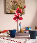 Fabulous Apartment in the Historic Center, Bright and with Easy Parking